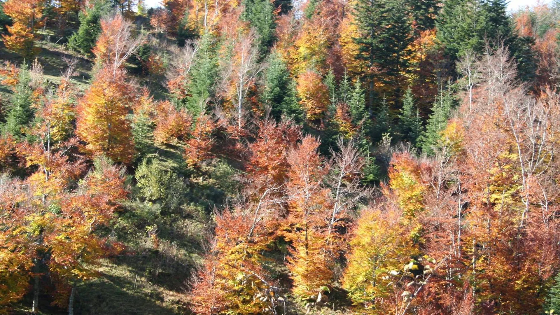 Les Cevennes Hotel Saint-Cirgues-en-Montagne 2*,  France