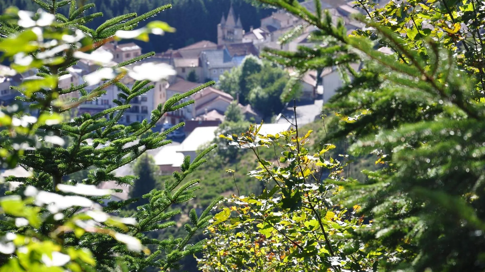 Les Cevennes Hotel Saint-Cirgues-en-Montagne 2*,